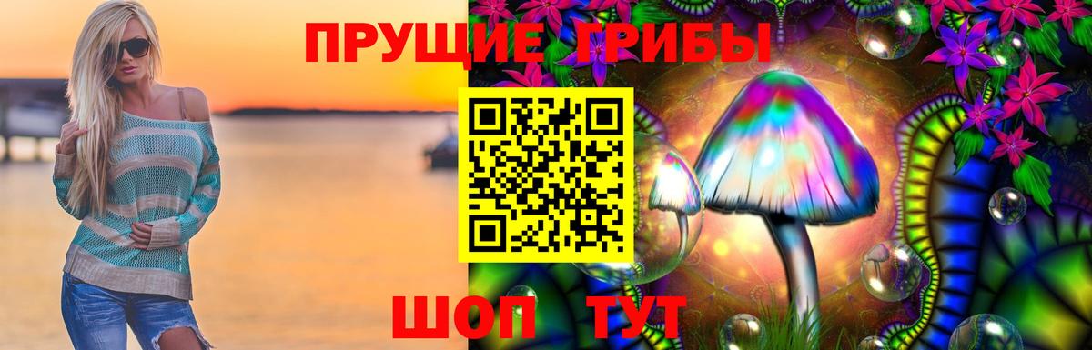Галлюциногенные грибы ЛСД  дарнет шоп  Алейск  Галлюциногенные грибы MAGIC MUSHROOMS  Вход с VPN 